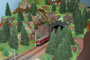 MW01 Tunnelstrecke mit Alm